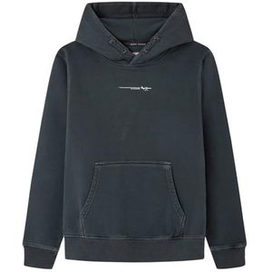 Pepe Jeans New Davide Hoodie voor kinderen, grijs (Phantom Grey), 12 jaar, grijs (fantom grey), 12 jaar