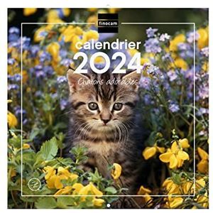 Finocam Wandfotokalender, 30 x 30 cm, voor notities 2024 januari 2024 - december 2024 (12 maanden), Franse katjes