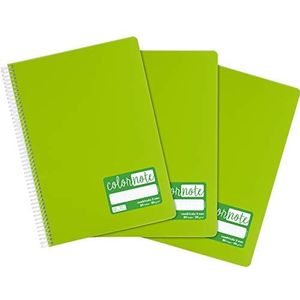 Grafoplás 98527521 notitieboek 3 mm, A4, omslag van polypropyleen, 80 vellen, 90 gram, lichtgroen, serie ColorNote