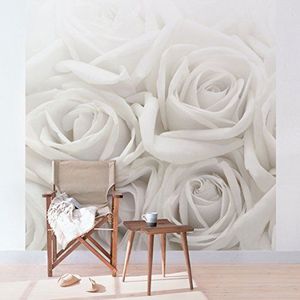 Apalis Rozenbehang - vliesbehang - witte rozen - bloemenbehang vierkant | fleece behang wandbehang muurschildering foto 3D fotobehang voor slaapkamer woonkamer keuken | afmetingen HxB: 336x336cm