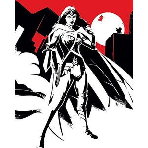 DC Comics Batman V Superman ""Wonder Woman Noir"" Canvas Prints, meerkleurig, 40 X 50 cm