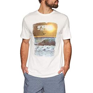 O'Neill LM Surf Gear T-shirt voor heren