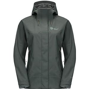 Jack Wolfskin Kammweg 2l Jkt W Jas, leigroen, L voor dames, groen bord, L