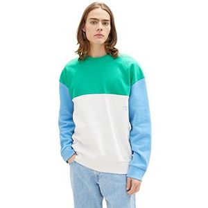 TOM TAILOR Denim Uomini Sweatshirt 1035668, 12906 - Wool White, XL
