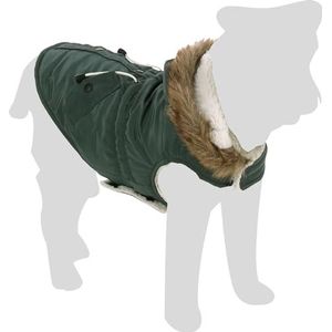 Flamingo Kimo Winterjas voor honden, groen, 55 cm, wasbaar, spatwaterdicht, gewatteerd en afgewerkt met fleece aan de binnenkant, A: 55 cm, B: 46-52 cm, C:66-76 cm