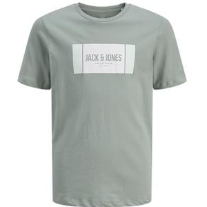 JACK & JONES Jjhayato Tee Ss Crew Neck Jnr voor heren, Iceberg Green., 140