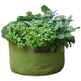 Haxnicks Vigoroot Kruidentuinplanter | Speciale tuinstof heeft minder compost nodig | Betere wortels | Sterkere planten | Tot 30% hogere opbrengst | Groen, 45 x 25 cm | Vig140101