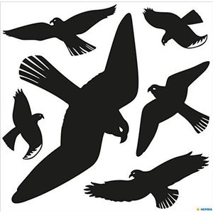 HERMA 5999 Waarschuwingsvogels, stickerset voor ruiten, groot (30 x 30 cm, 6 stickers, folie) zelfklevend, verwijderbaar en herbruikbaar, van weerbestendig duurzaam hardfolie, zwart
