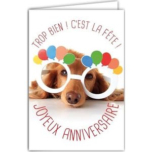AFIE Grappige verjaardagskaart met geïllustreerde envelop, formaat 17,5 x 12 cm, grappige grappige grappige hond met bril om te feesten - Gemaakt in Frankrijk 69-6201