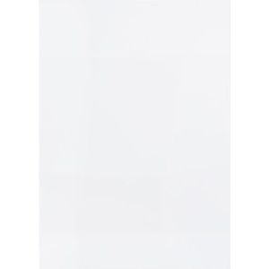 Clairefontaine 37337C Schetspapier (250 g, DIN A1, 59,4 x 84,1 cm, 10 vellen, ideaal voor kunstenaars of school), wit