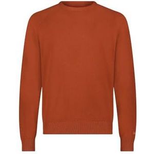 Lee - Clean Raglan - Trui - Sweet Maple - 100% Katoen