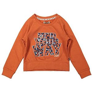 DJ DutchJeans Sweatshirt voor meisjes, bruin, 24 Maanden