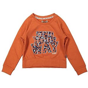DJ DutchJeans Sweatshirt voor meisjes, bruin, 5 Jaren