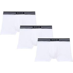 Abanderado Boxershorts voor heren