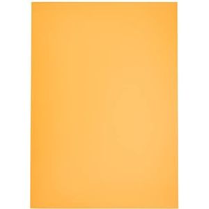 Blad 50 x 70 (10) Canson Polypro 455 g, oranje