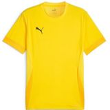 PUMA teamGOAL Speeldag Jersey jr