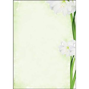 SIGEL DP463 Motiefpapier ""Green Flower"", briefpapier 90 g DIN A4, 25 vellen, van duurzaam papier