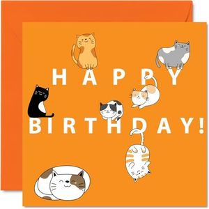 Leuke verjaardagskaarten voor dames en heren - cartoon kat - gelukkige verjaardagskaart voor broer, zus, zoon, dochter moeder, vader, tante oom, 145 mm x 145 mm dierenverjaardagskaarten
