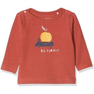 Imps&Elfs Baby-jongens B T-shirt met lange mouwen en lange mouwen, Rood (Cinnabar P333), 62 cm