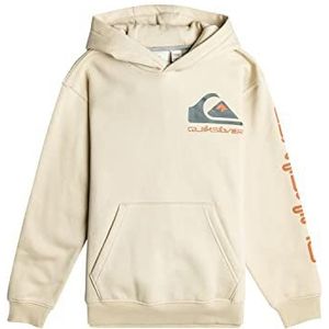 Quiksilver Trui Jongens Wit XS/8