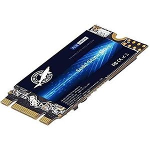 Dogfish - SSD - 1TB - Zwart - Flash Geheugen