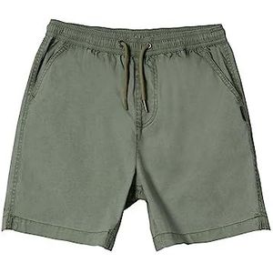 Quiksilver Shorts groen 8.