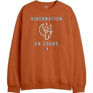 REPUBLIC OF CALIFORNIA Sweatshirt met capuchon voor heren, Oranje, S