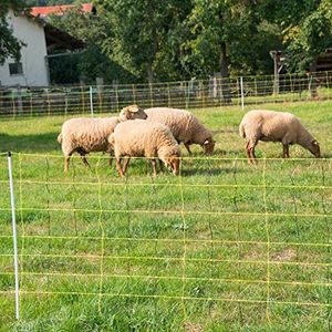 horizont schapennet - verticaal net - elektronisch net geel/zwart hoogte 90cm, lengte 50m, met verticale stroomvoorziening, dubbele spike 14 palen, schapenafrastering, weideafrastering, elektrische afrastering, geitenafrastering