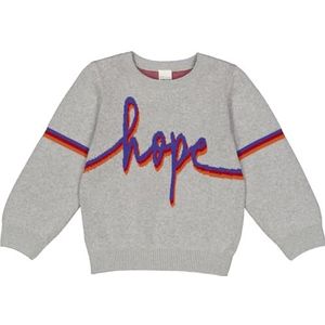 Fred's World by GREEN COTTON Trui  grijs / violetblauw / rood