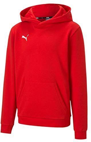 Puma - Teamgoal 23 - Hoodie