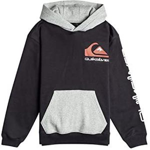 Quiksilver Omni Logo Hood Youth Sweatshirt met capuchon voor jongens (pak van 1)