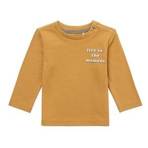 Noppies Baby Baby Jongens Boys Tee Margate Long Sleeve T-Shirt, Apple Cinnamon-P005, 62, Apple Cinnamon - P005, 62 cm