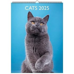 Decoratieve wandkalender, 29 x 39 cm, 2025, januari tot december 2025, katten