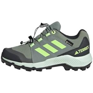 adidas Terrex GTX K wandelschoenen uniseks-kind, Preloved Fig Green Spark Silver Dawn, 5 UK Child