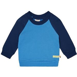 loud + proud Uniseks kindersweatshirt met raglanmouwen, GOTS-gecertificeerd sweatshirt, azuur/ultramarine, 74-80