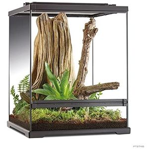 Exo Terra PT2746 terrarium voor kikkers, 45 x 45 x 60 cm