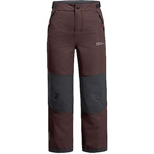 Jack Wolfskin Uniseks trekkingbroek voor kinderen en jongens, Boysenberry, 152