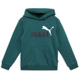 PUMA Sweatshirt merk ESS + 2 Col Big Logo Hoodie FL B