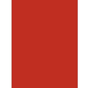 Clairefontaine - Ref 384506C - Maildor gekleurd posterpapier (verpakking van 25 vellen) - 60 x 80 cm groot, 90 g/m² papier - geschikt voor snijden, schrijven en collagen - rood