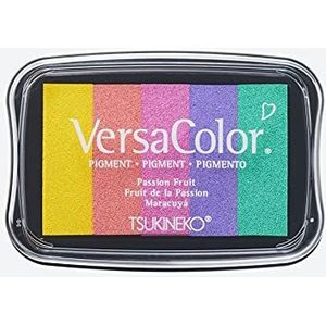 Rayher 2839799 stempelkussen Versacolor, regenboog, 5 kleuren, stempeloppervlak 4,7 x 7,5 cm