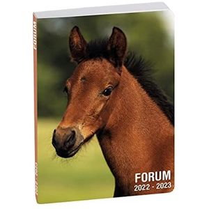 Exacompta - 187783E - Dagplanner Forum Dieren - Bedrukte en omzoomde kartonnen omslag - 12 cm x 17 cm - augustus 2022 tot juli 2023 - motief paard