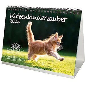 Seelenzauber Jonge Katten DIN A5 Bureaukalender Voor 2022 Kittens