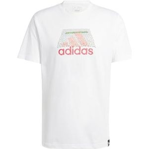adidas Heren CODES BOS GRAPHIC TEE, white, XL Tall