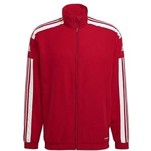 Adidas SQ21 PRE JKT-helderheid