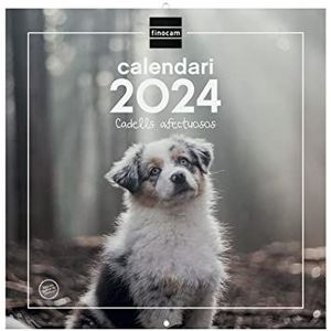 Finocam - Kalender 2024 wandafbeeldingen 30x30 om te schrijven januari 2024 - december 2024 (12 maanden) Catalaanse puppy's