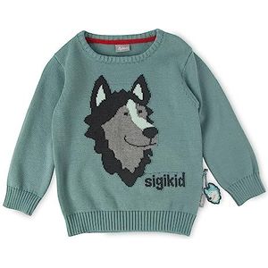 Sigikid Mini Polar Expedition Pullover voor jongens, turquoise, 98 cm