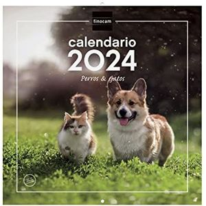 Finocam - Kalender 2024 wandafbeeldingen 30x30 om te schrijven januari 2024 - december 2024 (12 maanden) Spaanse honden en katten