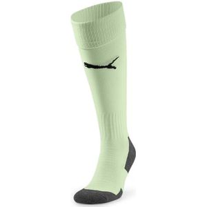 PUMA Team LIGA Sokken CORE
