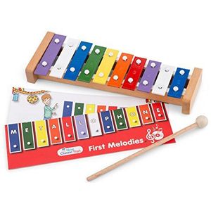 New Classic Toys NCT 0200k muziekinstrument - metalen opdruk 8 tonen 10 bars Multi Color