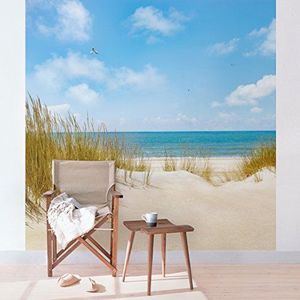 Apalis Fotobehang strand aan de Noordzee vliesbehang vierkant | vliesbehang wandbehang muurschildering foto 3D fotobehang voor slaapkamer woonkamer keuken | Maat: 336x336 cm, meerkleurig, 108971